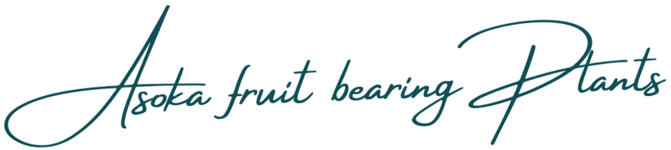 Asoka Fruit Bearing Plants nursery in Ernakulam