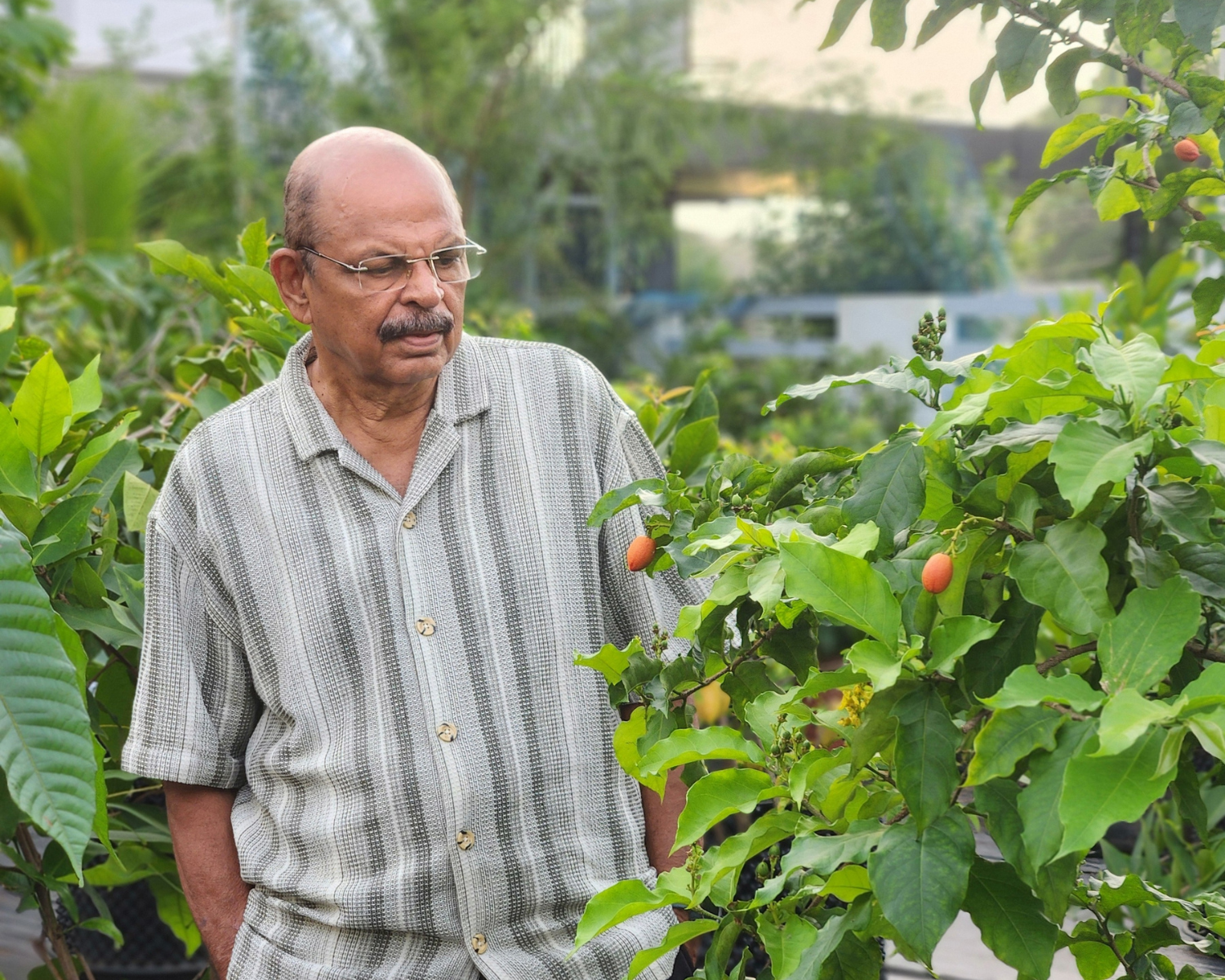 Asoka Nursery featured in Kerala Kaumudi newspaper for fruit plants in Ernakulam